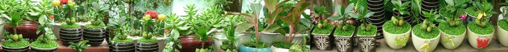 Công ty TNHH TMDV và Xây dựng Thiên Nhiên