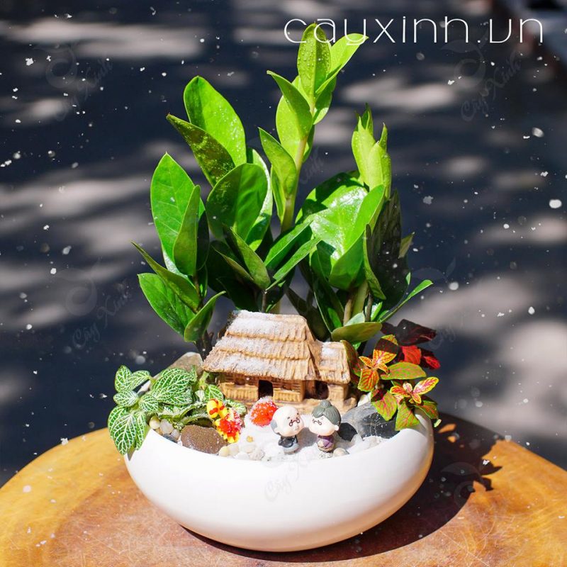 Tiểu cảnh phong thủy đẹp năm 2019