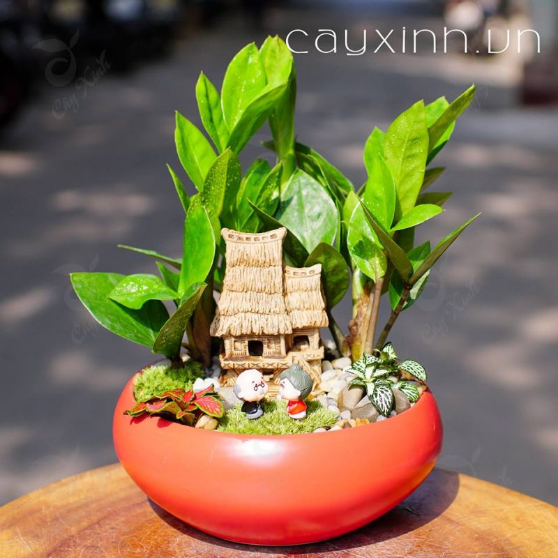 Tiểu cảnh phong thủy đẹp năm 2019