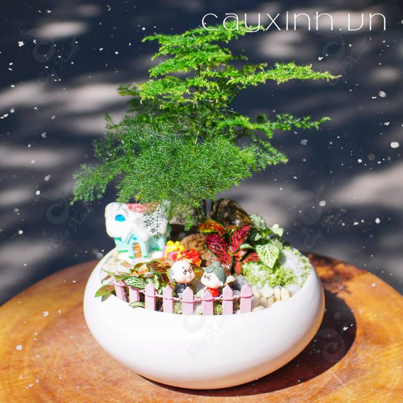 Tiểu cảnh phong thủy đẹp năm 2019